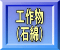 工作物 （石綿）